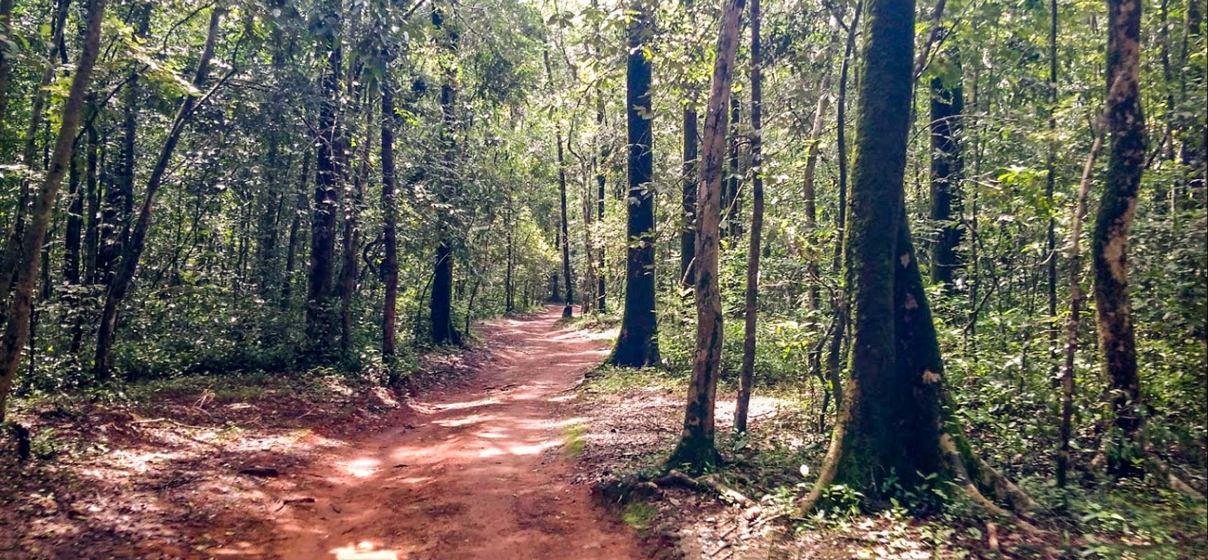 Pilarkhana Forest Adventure Cycling Tour - Mangalore, Karnataka, India